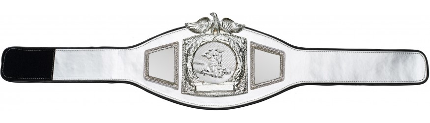 PROEAGLE MMA CHAMPIONSHIP BELT - PROEAGLE/S/MMAS - AVAILABLE IN 6+ COLOURS